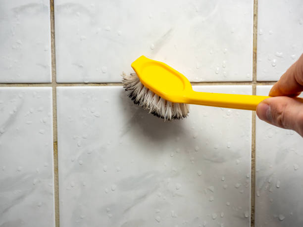 Best Preventive Mold Services in Circleville, OH
